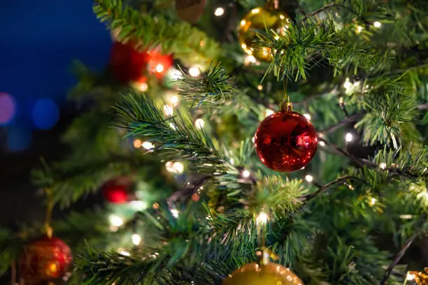Weihnachtsschießen & Weihnachtspause 🎄